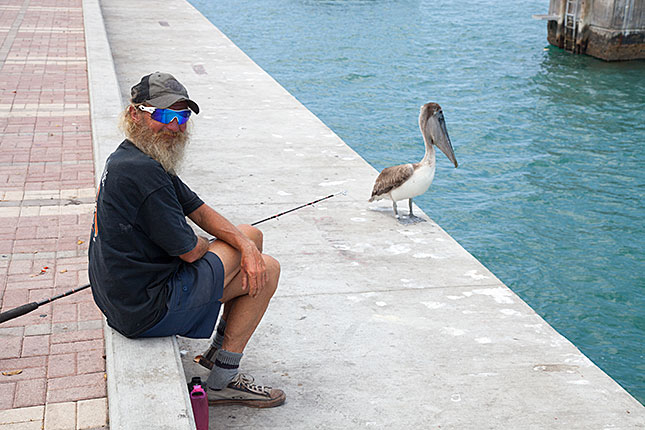 Key West, Fisherman