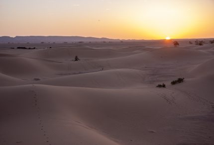 Sahara sunrise